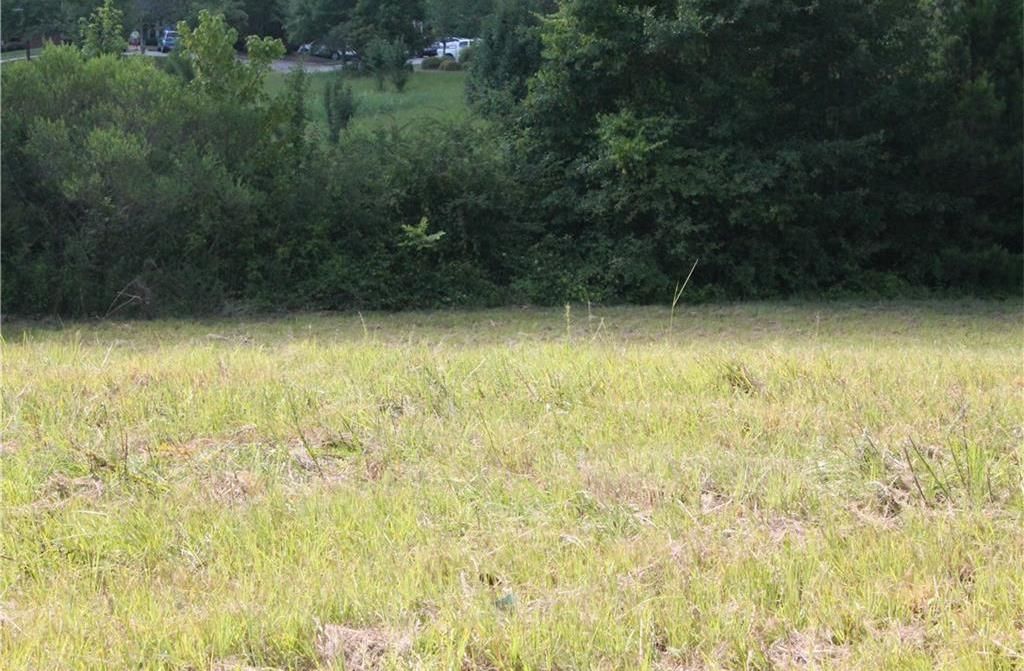 882 Twinforks Ave, Auburn, AL 36830